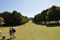 Mount Edgcumbe Coutry Park in Cornwall - Kulisse für zahlreiche Spielfilme