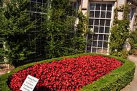 Mount Edgcumbe Coutry Park in Cornwall - Kulisse für zahlreiche Spielfilme