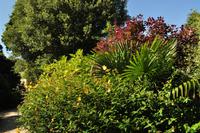 Mount Edgcumbe Coutry Park in Cornwall - Kulisse für zahlreiche Spielfilme