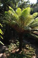 Mount Edgcumbe Coutry Park in Cornwall - Kulisse für zahlreiche Spielfilme