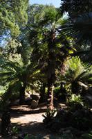 Mount Edgcumbe Coutry Park in Cornwall - Kulisse für zahlreiche Spielfilme