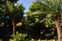 Mount Edgcumbe Coutry Park in Cornwall - Kulisse für zahlreiche Spielfilme