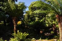 Mount Edgcumbe Coutry Park in Cornwall - Kulisse für zahlreiche Spielfilme