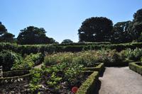 Mount Edgcumbe Coutry Park in Cornwall - Kulisse für zahlreiche Spielfilme
