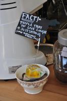 Mount Edgcumbe Coutry Park in Cornwall - Kulisse für zahlreiche Spielfilme