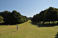Mount Edgcumbe Coutry Park in Cornwall - Kulisse für zahlreiche Spielfilme