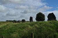 UNESCO Weltkulturerbe und National Trust Avebury Henge
