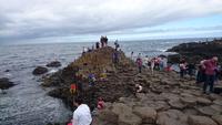 An der Brücke der Riesen in Giants Causeway