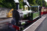 248 Isle of Man, Steam Railway