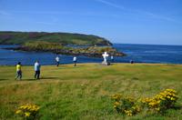 264 Isle of Man,  Sound