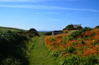 278 Isle of Man,  Cregneash