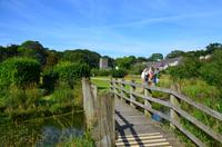 332 Isle of Man, Rushen Abbey