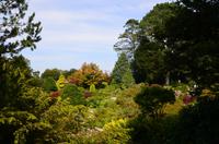 355 Sizergh Castle, Garten