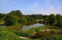 356 Sizergh Castle, Garten