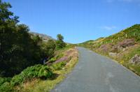 381 Lake Destrict, Borrowdale