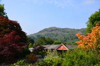 442 Lake Destrict, Grasmere