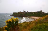 503 Tynemouth, Castle und Abbey