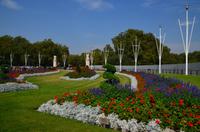 070 London, Blumenrabatte vorm Buckingham Palace