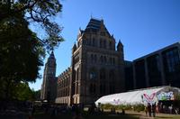 147 London, Historie Natural Museum