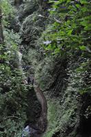 Isle of Wight - Shanklin Chine