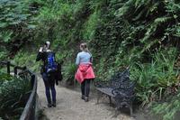 Isle of Wight - Shanklin Chine
