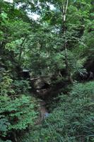 Isle of Wight - Shanklin Chine