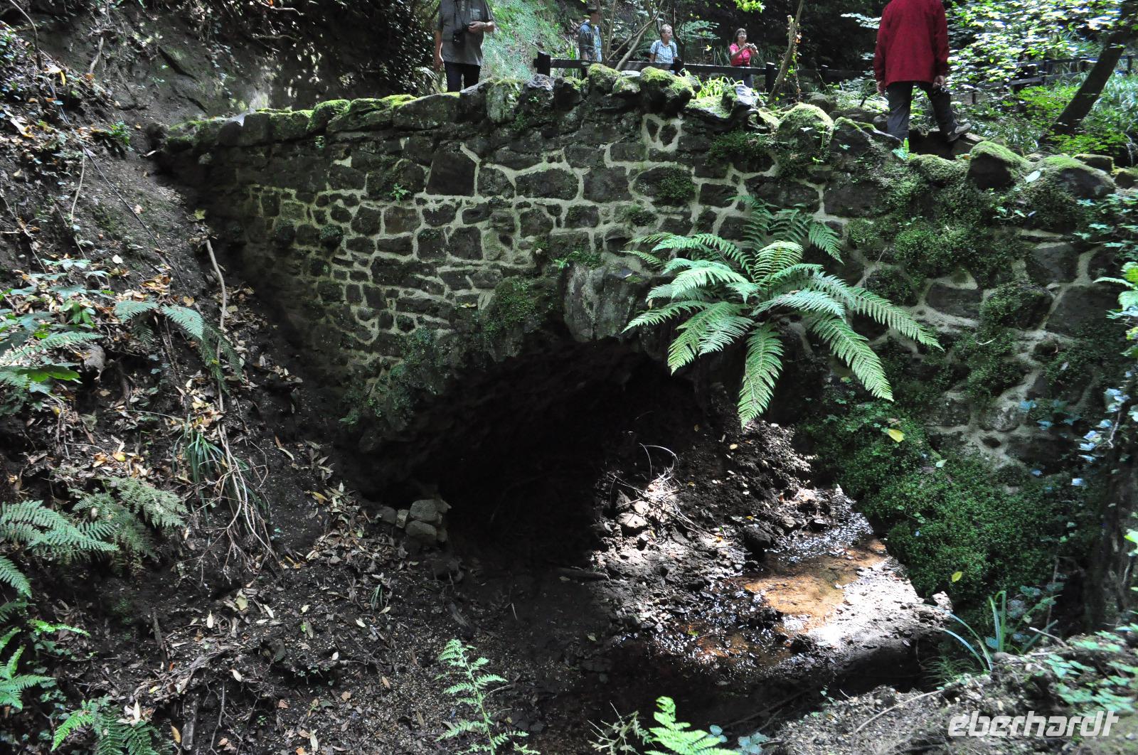 Isle of Wight - Shanklin Chine