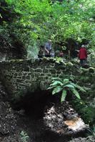 Isle of Wight - Shanklin Chine