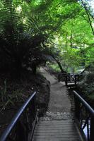 Isle of Wight - Shanklin Chine