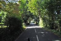 Isle of Wight - The Needles