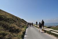 Isle of Wight - The Needles