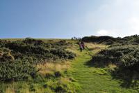 Isle of Wight - The Needles