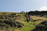 Isle of Wight - The Needles