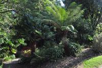 Rame Halbinsel - Mount Edgcumbe