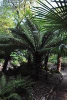 Rame Halbinsel - Mount Edgcumbe