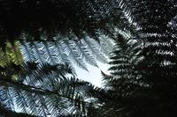 Rame Halbinsel - Mount Edgcumbe