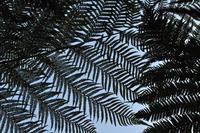 Rame Halbinsel - Mount Edgcumbe