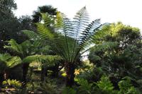 Rame Halbinsel - Mount Edgcumbe