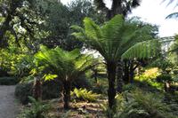 Rame Halbinsel - Mount Edgcumbe