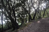 Rame Halbinsel - Mount Edgcumbe