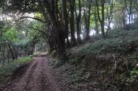 Rame Halbinsel - Mount Edgcumbe