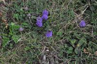 Wanderung Porthcurno - Land's End