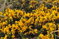 Wanderung Porthcurno - Land's End