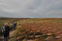 Wanderung Porthcurno - Land's End