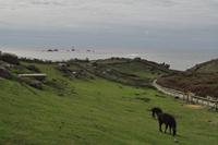 Wanderung Porthcurno - Land's End