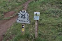 Wnderung von den Bedruthan Steps nach Porthcothan
