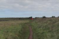 Wnderung von den Bedruthan Steps nach Porthcothan