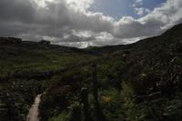 Wnderung von den Bedruthan Steps nach Porthcothan