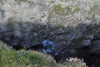 Wnderung von den Bedruthan Steps nach Porthcothan