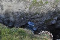 Wnderung von den Bedruthan Steps nach Porthcothan